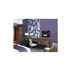 WD My Passport Disco Duro Solido SSD Externo 500GB USB-C - Color Oro