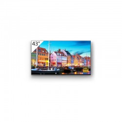 Conceptronic Carden 6 Cargador de Coche 2XUSB3.0(5V/2.4A) 1XUSB3.0(5V/1.5A) - Carga 3 Dispositivos a la vez - 12-24V/DC - Color