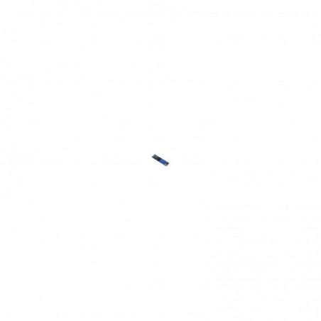 HP Everyday Pack de 2 Bobinas de Papel para Plotter - Adhesivo Polipropileno Mate - 90gr 36" 610mm x 22