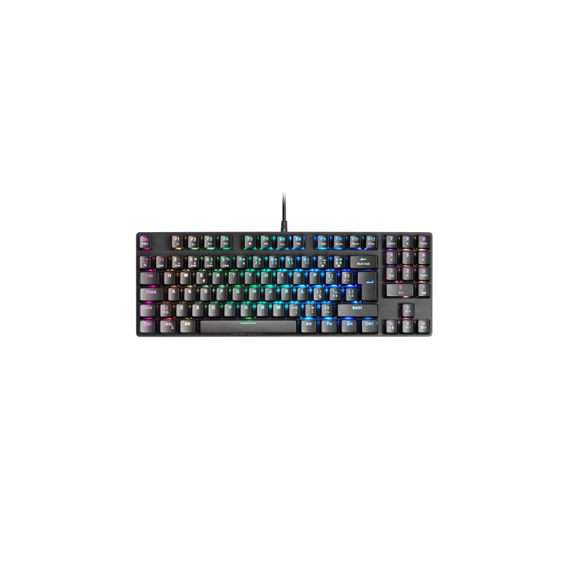 Paquete 6 bobinas secamanos 2capas tisoft basic tisoft ce520