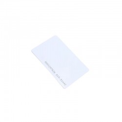 Apli Pack de 12 Temperas Solidas 10g - Acabado Satinado - No Manchan - Colores Solidos