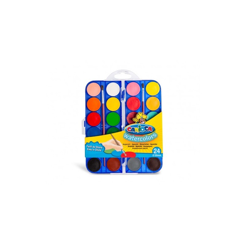 Carchivo 49050699 divisor polipropileno (pp) multicolor