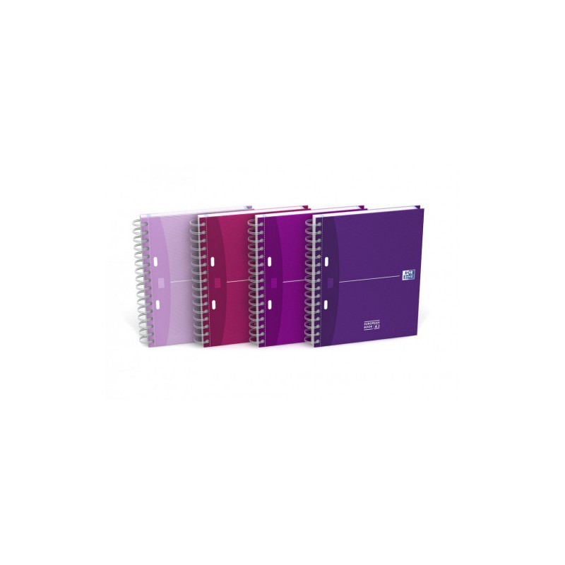 Recambio 70 grs. multitaladro folio (215x310mm.) 100 cuadrícula 4x4 con margen pacsa 21221