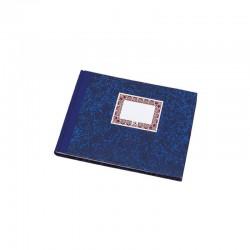 Bolígrafo jotter xl greenwich verde mate ribete de color cromado plumín medio tinta azul parker 2068511