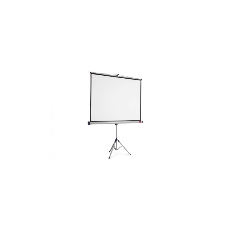 Bolígrafo r-301 classic stick 1.0
